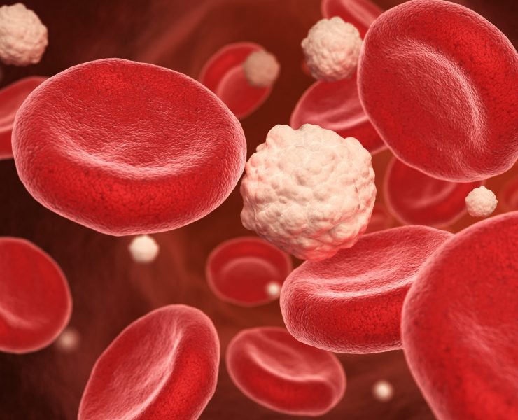 Blood cells and glucose in the vein. 3D illustration