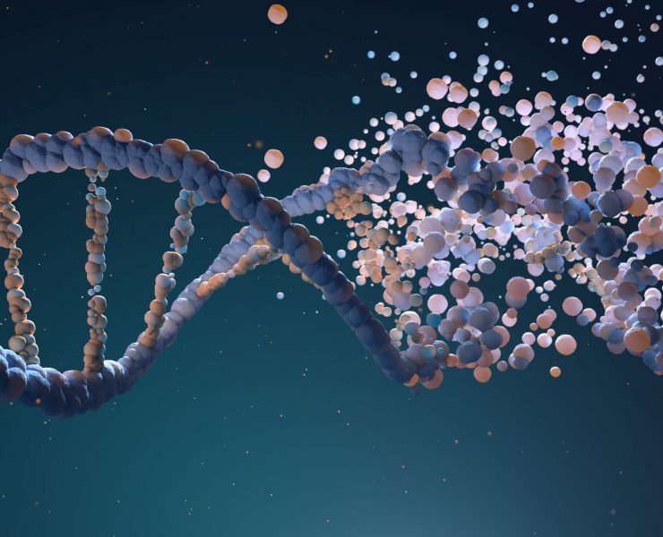 DNA strand assembling from different elements. 3D illustration