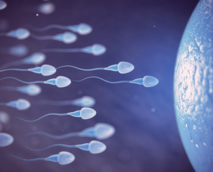 Sperm and egg cell on microscope.  Scientific background. 3d illustration
