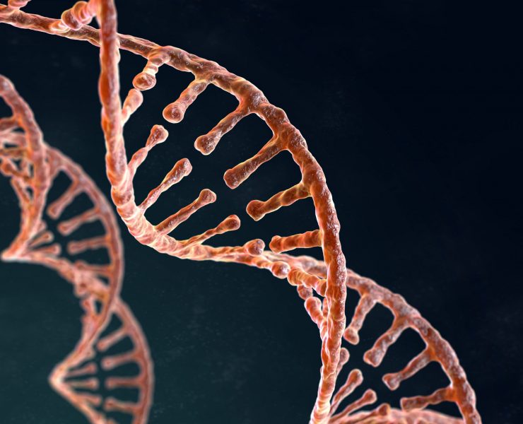 Spiral strand of DNA on the dark background